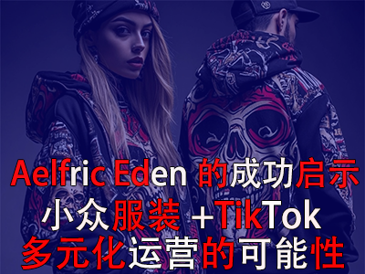 Aelfric Eden的成功启示：小众服装+TikTok多元化运营的可能性